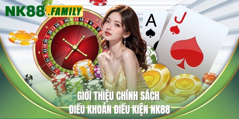Giới thiệu chính sách điều khoản điều kiện NK88